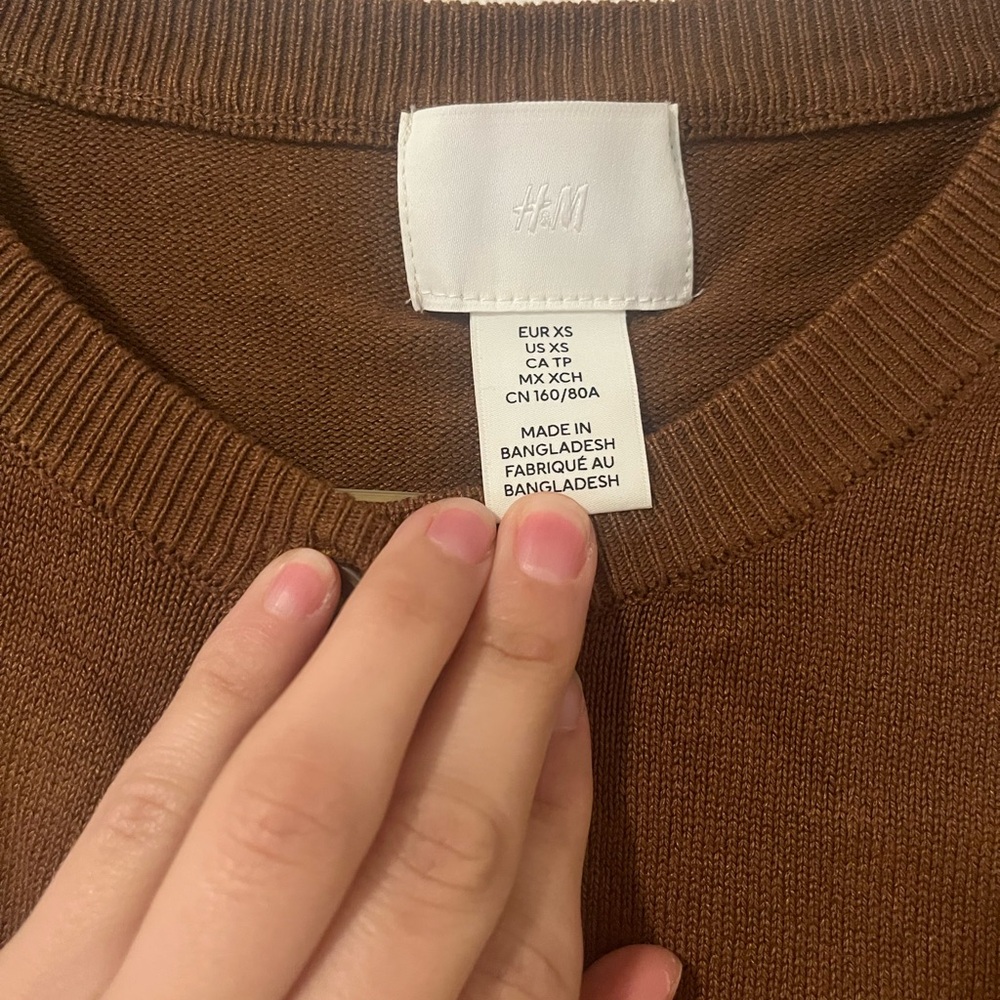 H&M Chestnut Knit Pullover